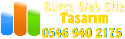 Bursa Website Tasarım